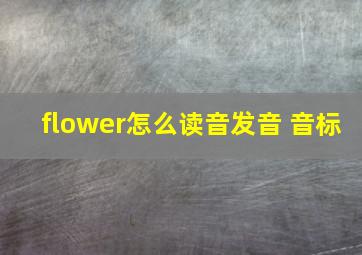 flower怎么读音发音 音标